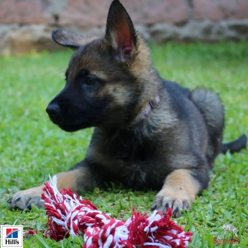 Snapinsta.app_321670170_724707272159538_6419097545142193996_n_1024