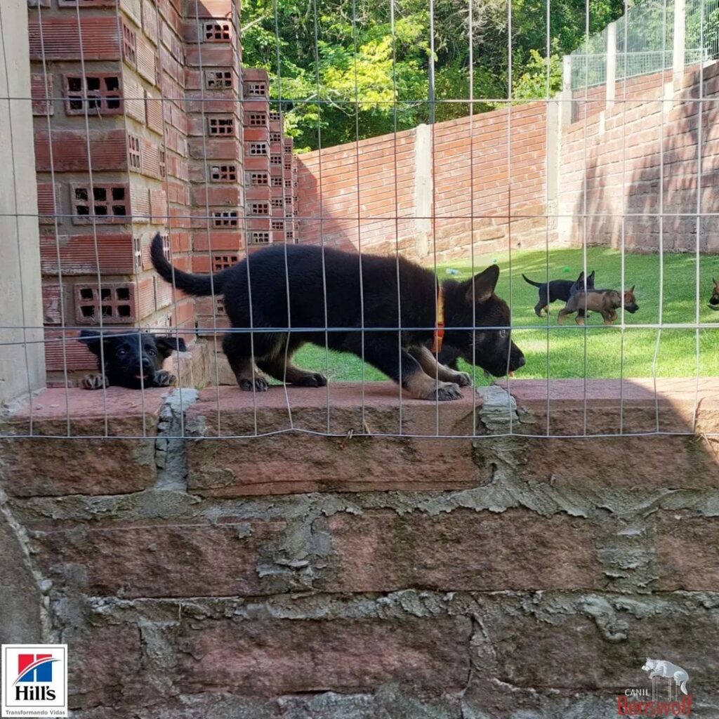 Snapinsta.app_321687292_140720875461281_3274636936781077956_n_1024