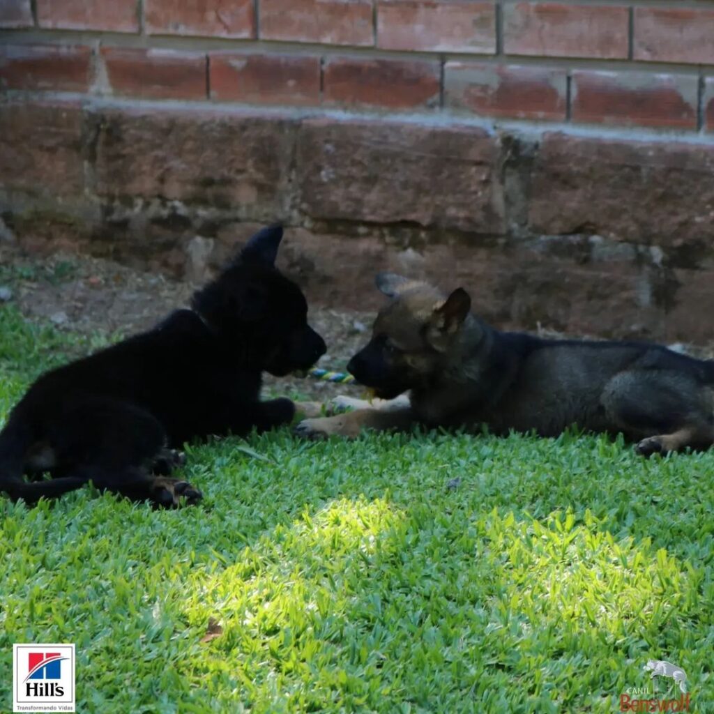 Snapinsta.app_322035329_869136017615078_1974683213645688762_n_1024