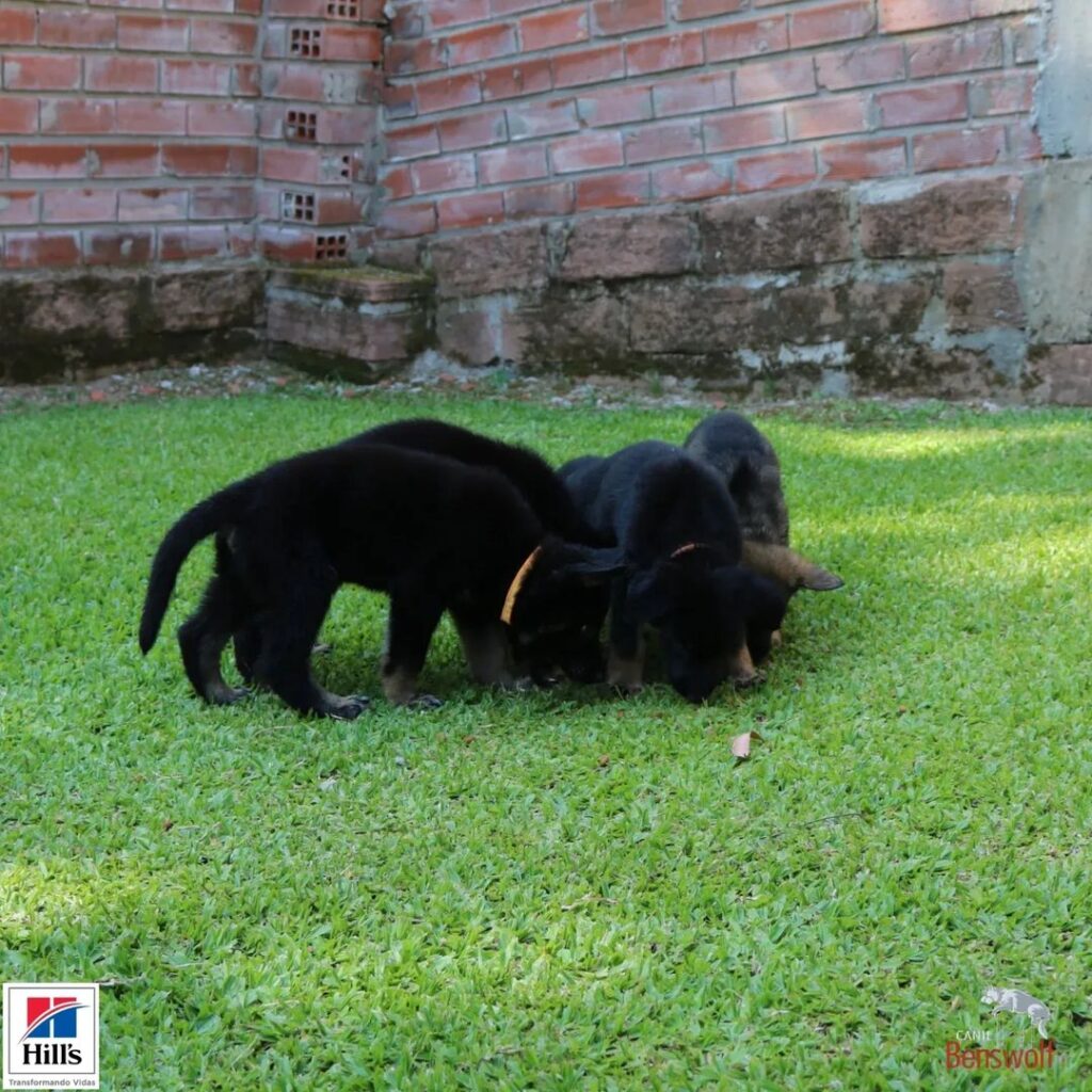 Snapinsta.app_322391668_880374886641715_7644630419210112794_n_1024 (1)