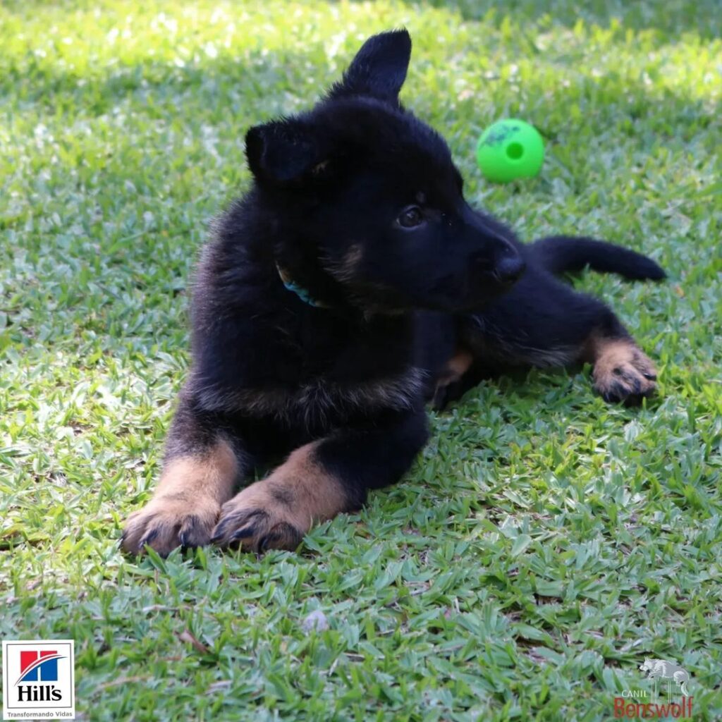 Snapinsta.app_322417283_768024004746438_7190931159616232451_n_1024