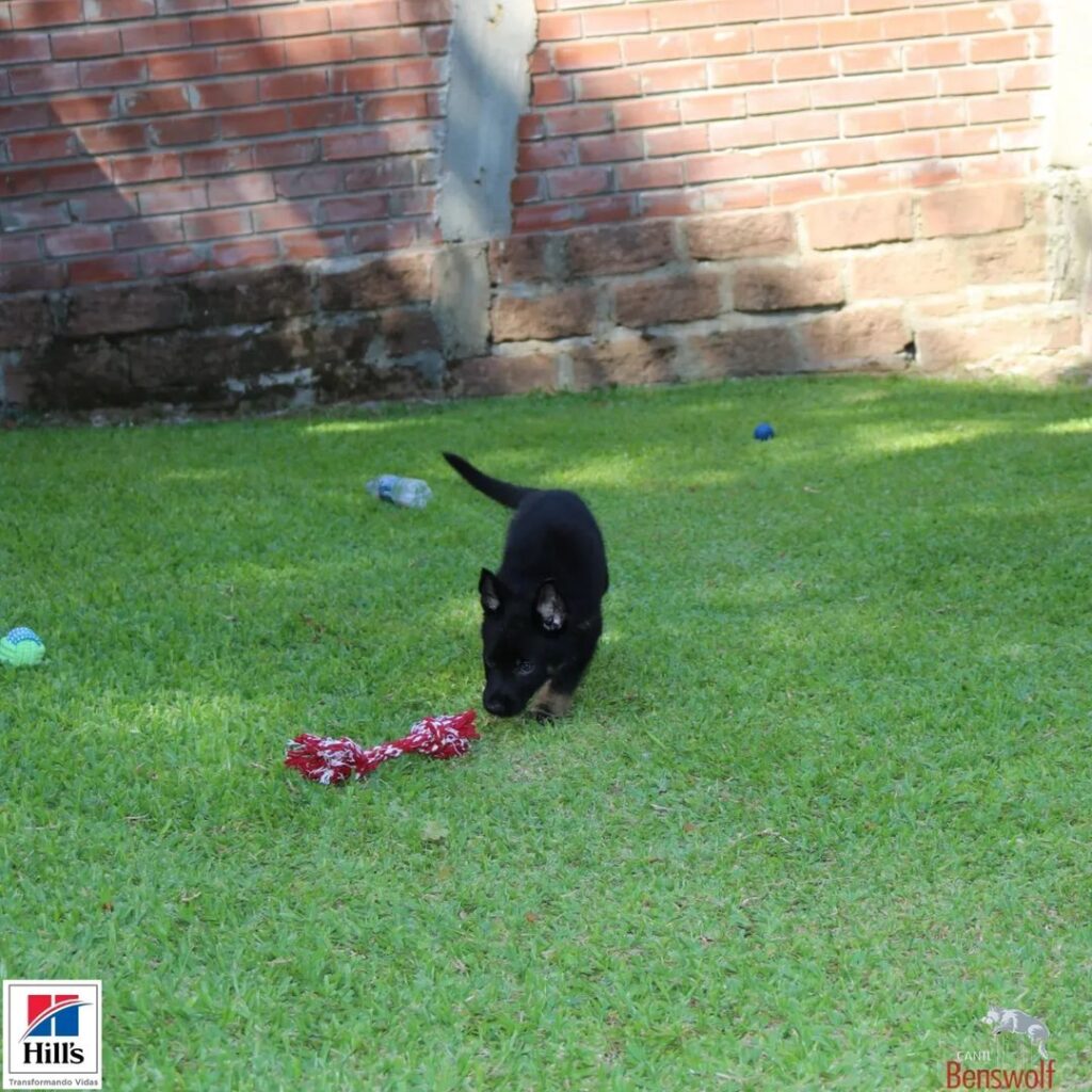 Snapinsta.app_322524177_1587374531712631_2345453734826322651_n_1024